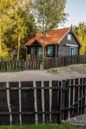 Lawendowe Pole, Nowe Kawkowo